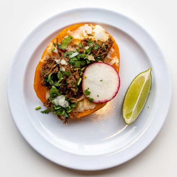 A Casa De Avila Tacos birria taco with cilantro, onions, radish, and a lime wedge.